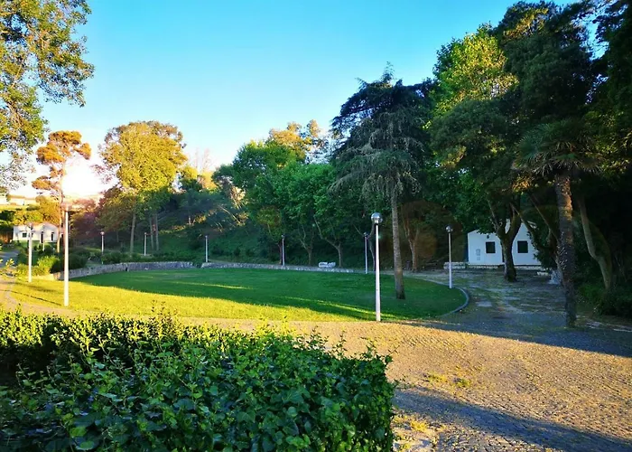 Paz & - Peace & Nazaré