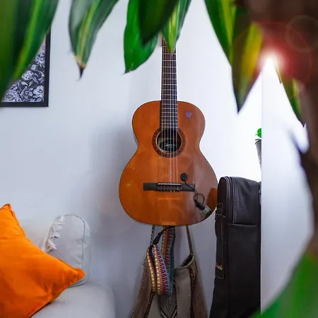 Paz & - Peace & * Nazaré