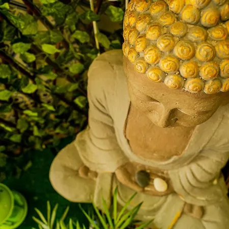 Paz & - Peace & Gasthof *