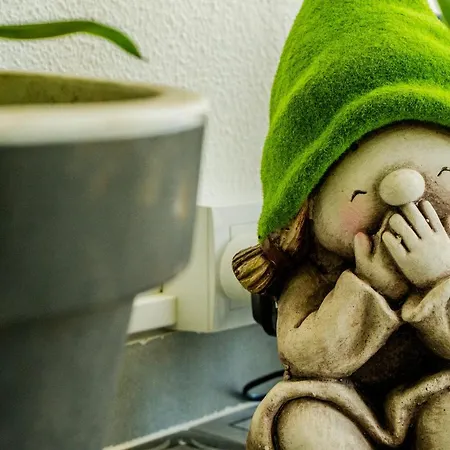 Paz & - Peace & * Nazaré