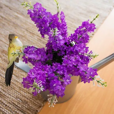 Gasthof Paz & - Peace & Nazaré