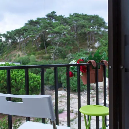 Paz & - Peace & Gasthof Nazaré