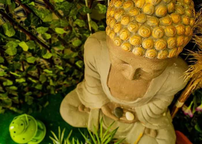 Paz & - Peace & Guest house *