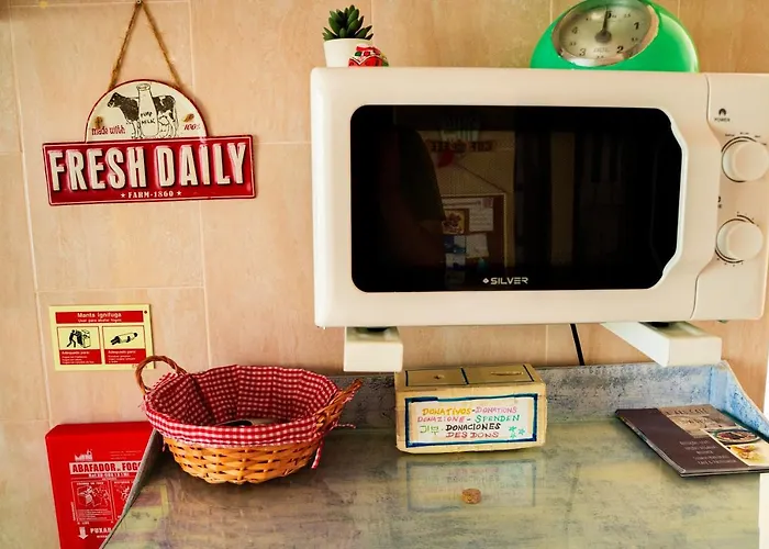 Paz & - Peace & * Nazare