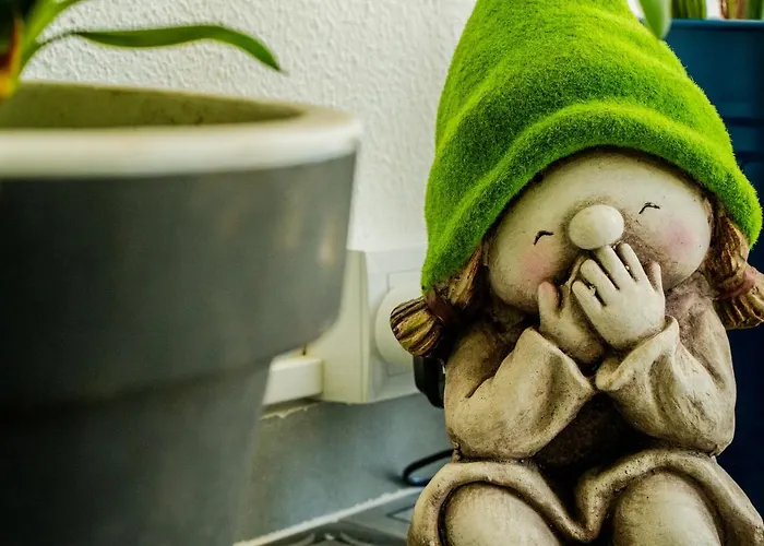 Paz & - Peace & * Nazare