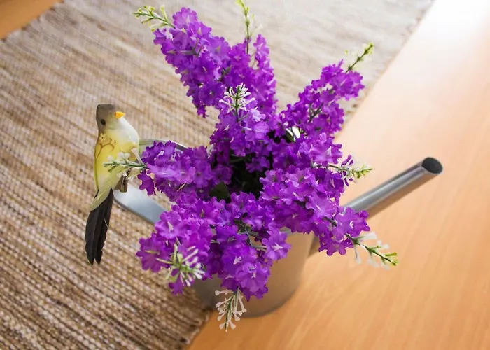 Affittacamere Paz & - Peace & Nazaré